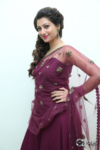 Hamsa-Nandini-at-Bengal-Tiger-Movie-Audio-Launch